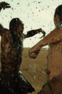 Killers of the Flower Moon